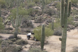 AFSA Phoenix Convention Offers Entertainment, Excitement and Education