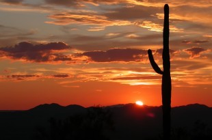 Chairman’s Message – July 2015