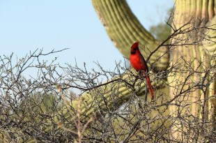 President’s Report – October 2015