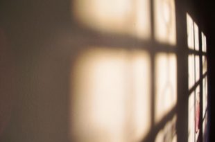 Step Into the Shadows