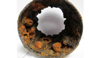 Identifying Microbes