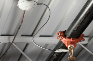 What if Your Sprinkler System Could Think?