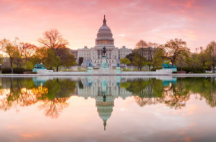 AFSA37 Heads to the Capitol