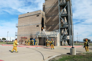 President’s Report