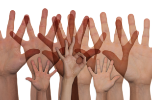 President’s Report