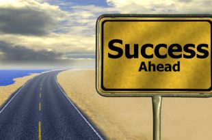 Exploring Career Paths for Young Professionals