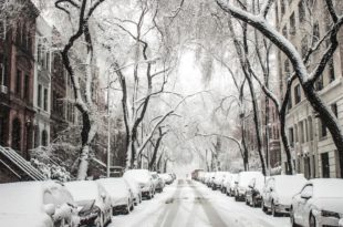 Spotlight on Sprinkler System Freeze Protection