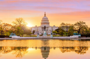 OVER SIXTY SENSATIONAL SEMINARS AT AFSA44