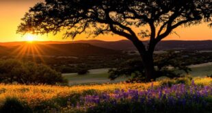 AFSA SETS THE STAGE IN SAN ANTONIO